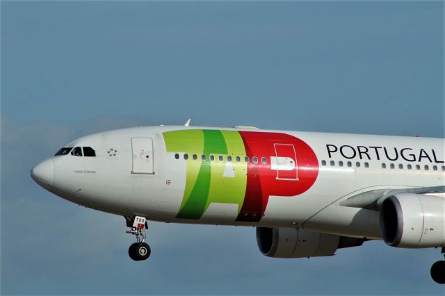 Airbus A330-200 (CS-TOQ) - Lisbon Humberto Delgado Airport (LIS / LPPT)   09-09-2017
