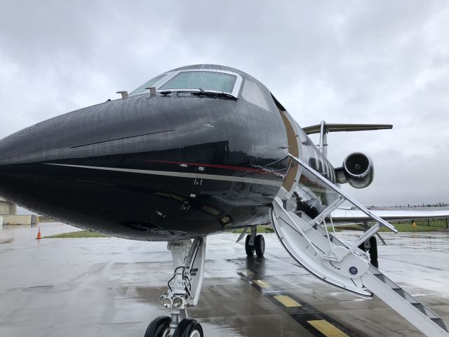 Gulfstream Aerospace Gulfstream 3 (N510FR) - A black bird in the rain.