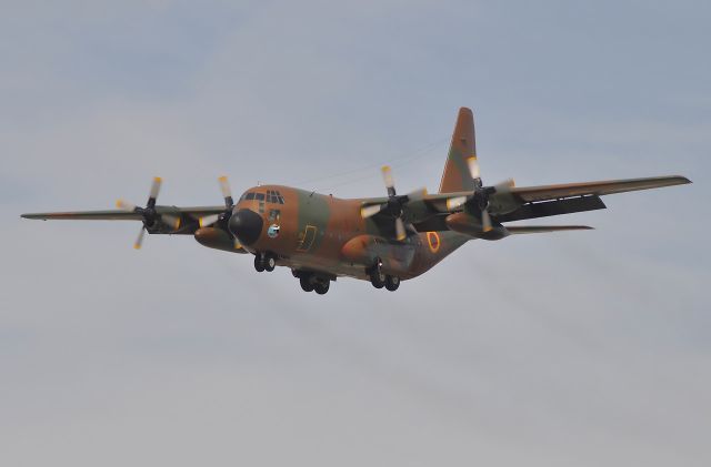 Lockheed C-130 Hercules (TJ-XCD) - CAMEROUN af