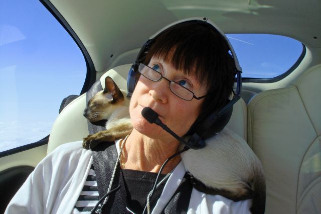 Cirrus SR-22 (N449SR) - In flight CAT NAP.... What a life :)  Ming Enroute from Tallahassee, FL to Murphy, NC