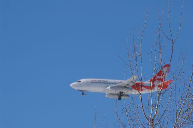 C-GMAI — - J'étais sur le chemin menant à l'aéroport (6 mars '14) quand j'aperçu cet avion en finale pour la 18 de CYVO. c'est Boeing 737-200 combi.