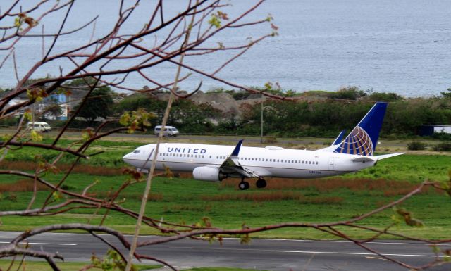 Boeing 737-800 (N77520)