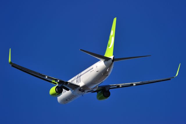 Boeing 737-800 (JA810X)