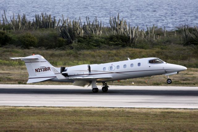 Learjet 31 (N213BR)
