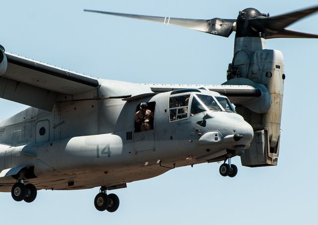 Bell V-22 Osprey (VMM365) - It landed right in front of me. Wonderful to see.