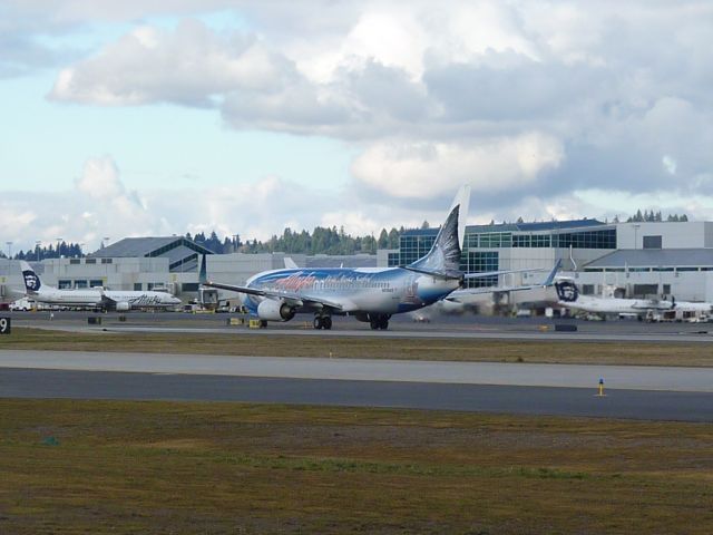 Boeing 737-800 (N559AS)