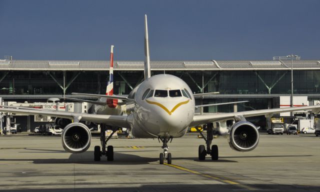 Airbus A319 (G-EUPG) - British Airways Airbus A319-131 G-EUPG in London Heathrow