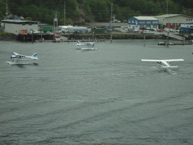 De Havilland Canada DHC-2 Mk1 Beaver (N37756) - A colony of beavers dancing around waiting for dock space at Ketchikan, AK.