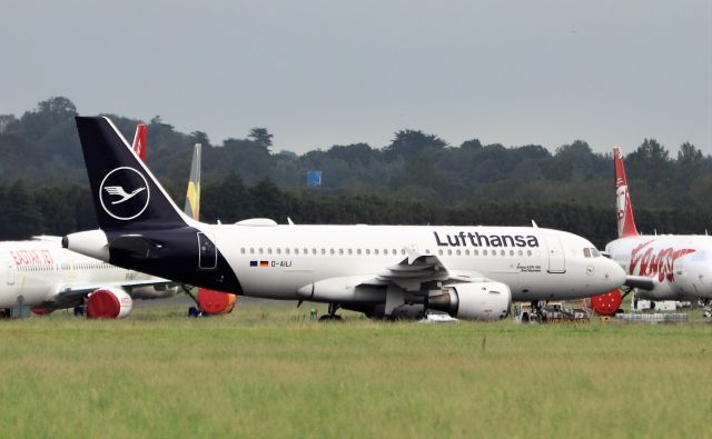 Airbus A319 (D-AILI) - lufthansa a319-114 d-aili arriving in shannon from munich 24/8/20.