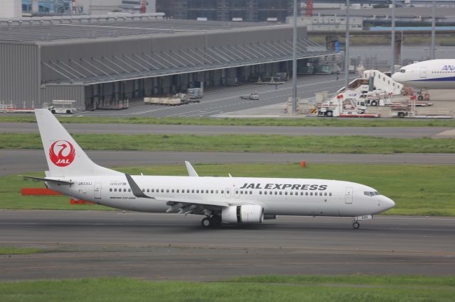 Boeing 737-800 (JA330J)