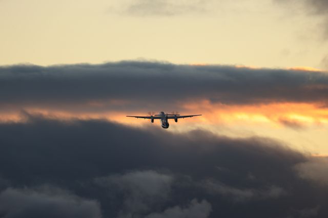 de Havilland Dash 8-400 (JA460A) - July 13, 2023:HKD-CTS.