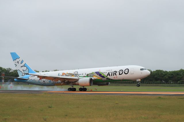 BOEING 767-300 (JA602A) - July 26th 2020:HND-HKD.