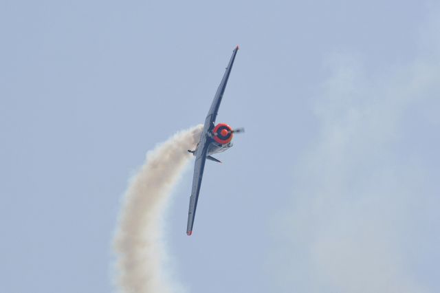 North American T-6 Texan (D-FHGK)