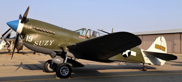 CURTISS Warhawk (N49FG) - Warbird Roundup 2018 at Warhawk Air Museum, Nampa, ID, 25 Aug 18