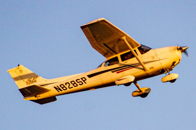 Cessna Skyhawk (N828SP)