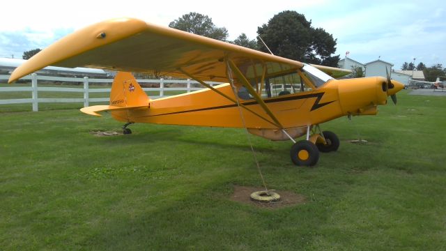 N9125O — - Nice Cub!