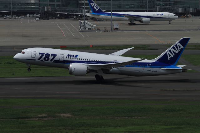 Boeing 787-8 (JA810A)