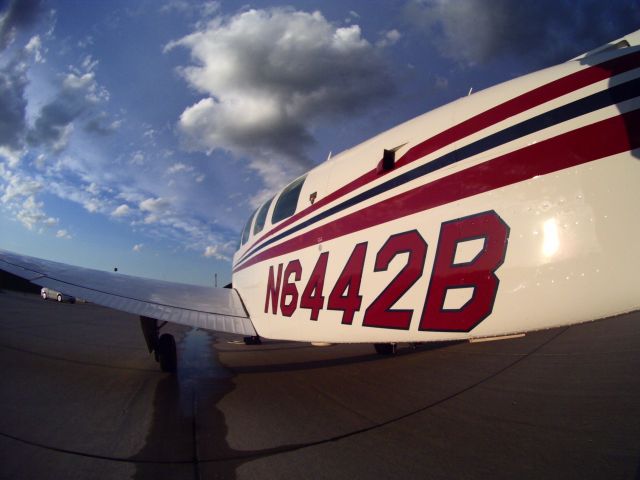 Beechcraft Bonanza (36) (N6442B)