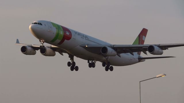 Airbus A340-300 (CS-TOD) - LISBON