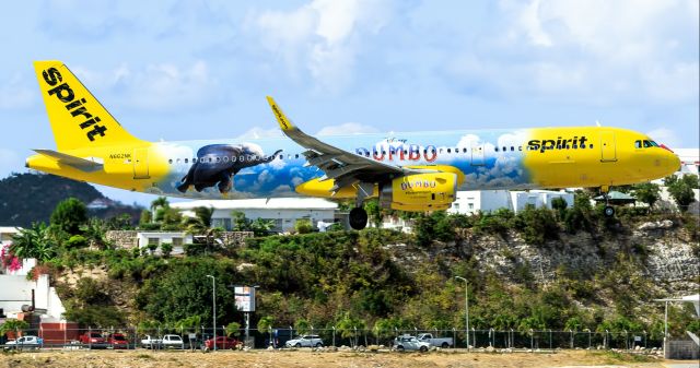 Airbus A321 (N662NK) - Spirit Airlines and Walt Disney World displaying the newly painted Dumbo livery at TNCM St Maarten. Flying elephants 09/03/2019