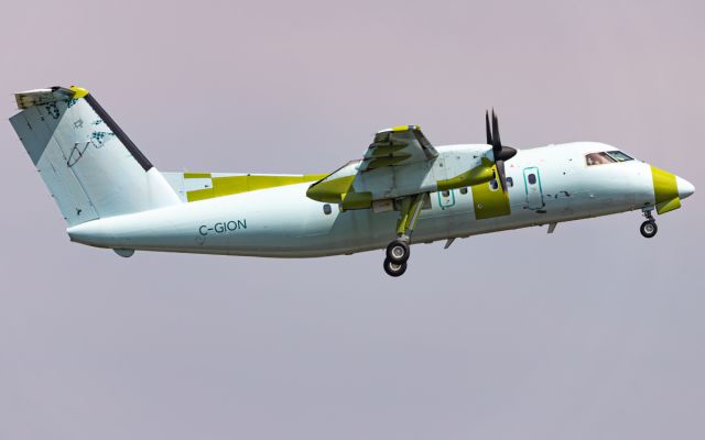de Havilland Dash 8-100 (C-GION)