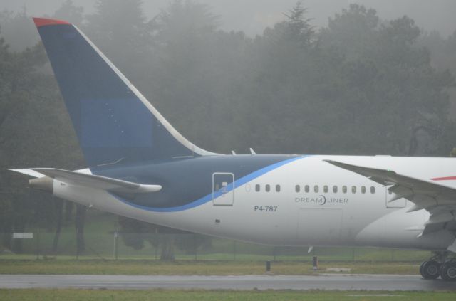 Boeing 787-8 (P4787) - P4787 Rear Detail While It's Going To TakeOff From LEVX Destination LEMD (Under The Rain). 12-03-2022
