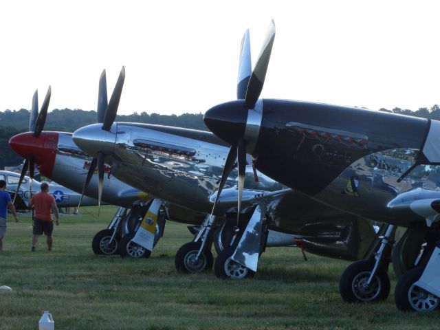 North American P-51 Mustang (N51HY) - N51HY, N151AM, and N51MX at 7am on airshow day