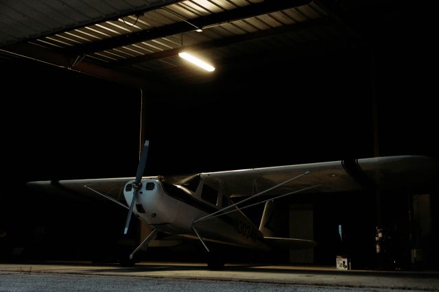 Cessna 120 (N3034N) - This post-war send-machine will absolutely rock your socks off.