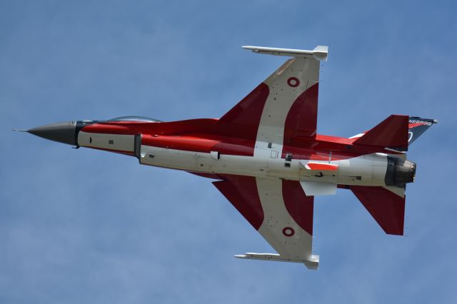 Lockheed F-16 Fighting Falcon (E191)