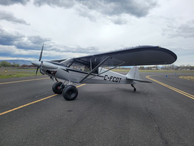 Piper L-21 Super Cub (C-FCOT)