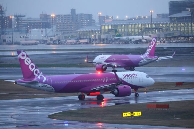 Airbus A320neo (JA202P) - March 23, 2024:FUK-KIX.