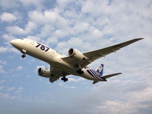 Boeing 787-8 (JA801A) - The first roll-out B787-8 (JA801A) of All Nippon Airways(ANA). At the end of Fukuoka RWY34.