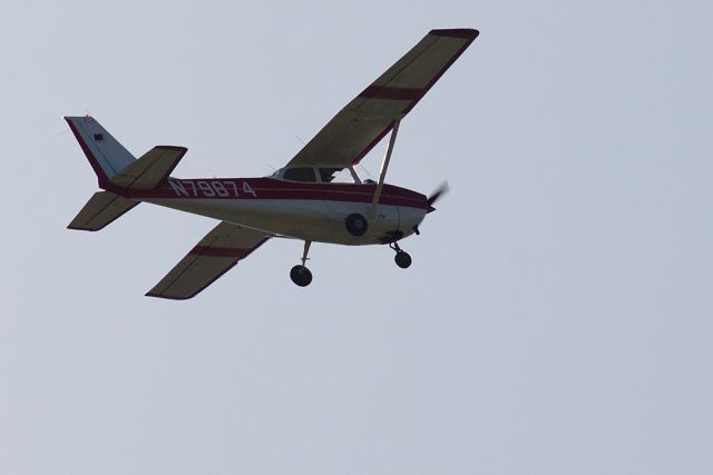 Cessna Skyhawk (N79874) - Walking the dog in the Mendenhall Wetlands.