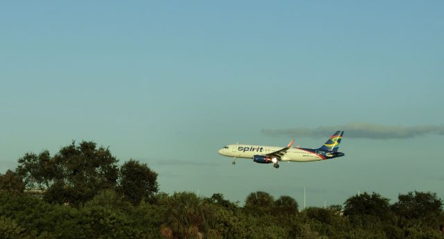 Airbus A320 (N635NK)