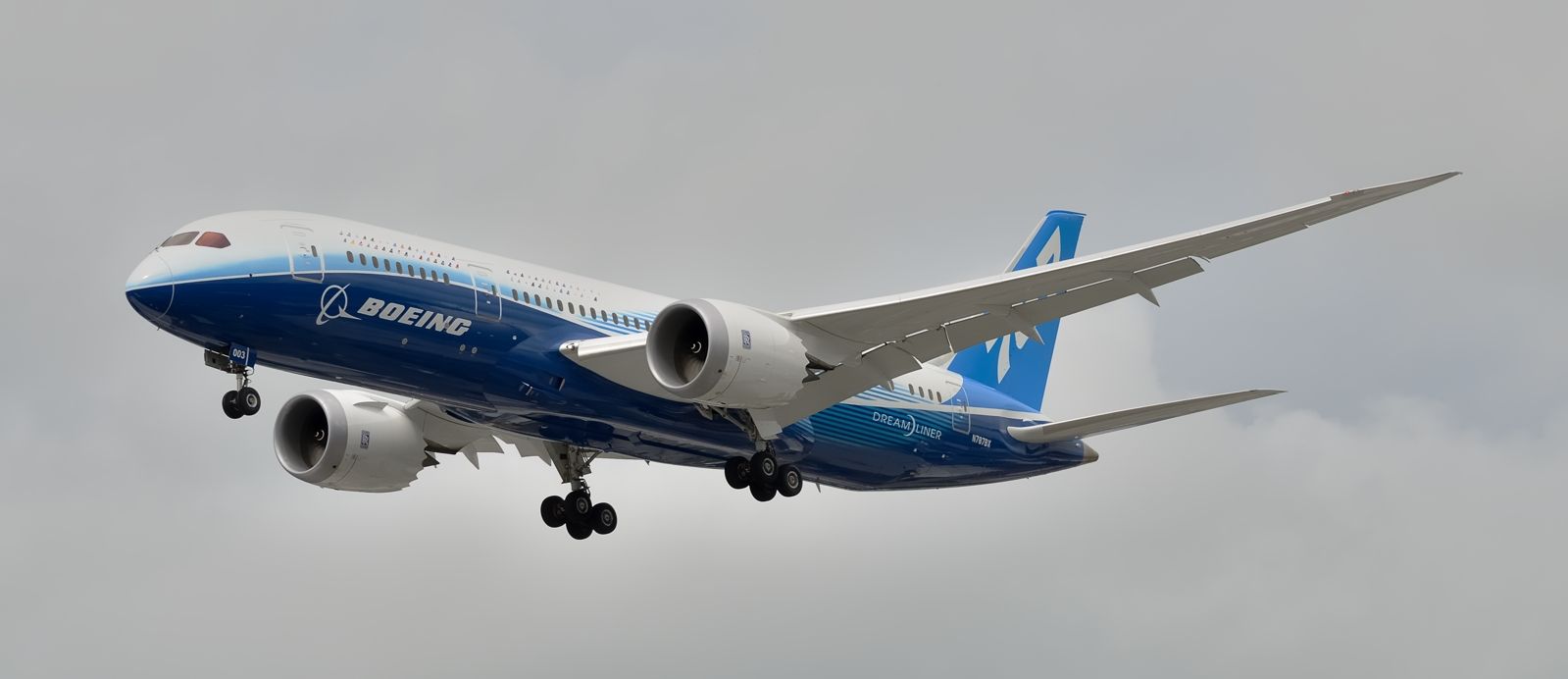 Boeing 787-8 (N787BX)