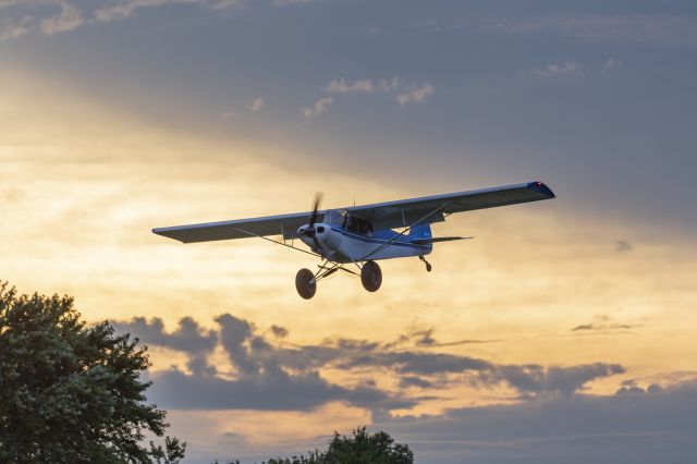 Piper L-21 Super Cub (N128JS) - OSH17 - STOL demo at the twilight flight fest