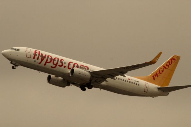 Boeing 737-800 (TC-AMP)