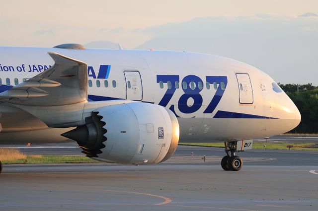 Boeing 787-8 (JA817A) - July 9th 2019:HND-HKD.