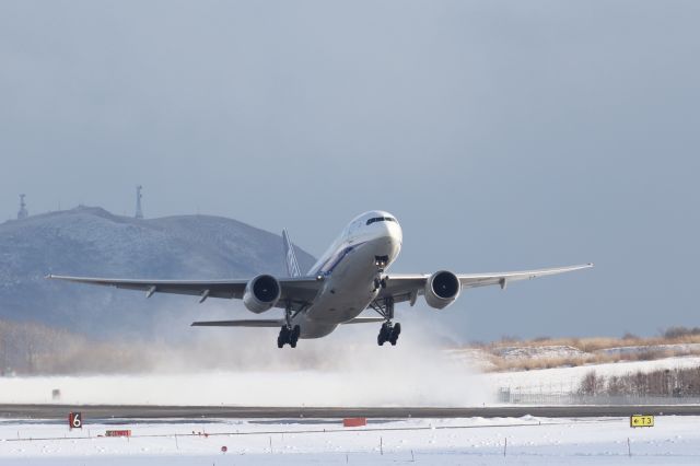 Boeing 777-200 (JA707A) - 31 December 2015:HKD-HND.