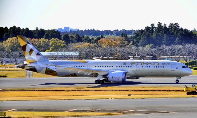 Boeing 787-9 Dreamliner (A6-BLE)