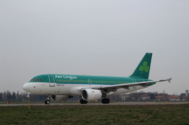 Airbus A319 (EI-EPS)
