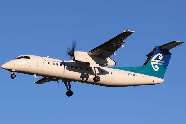 de Havilland Dash 8-300 (ZK-NEF)