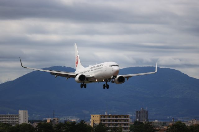 Boeing 737-800 (JA336J) - July 31st 2021:HND-HKD.