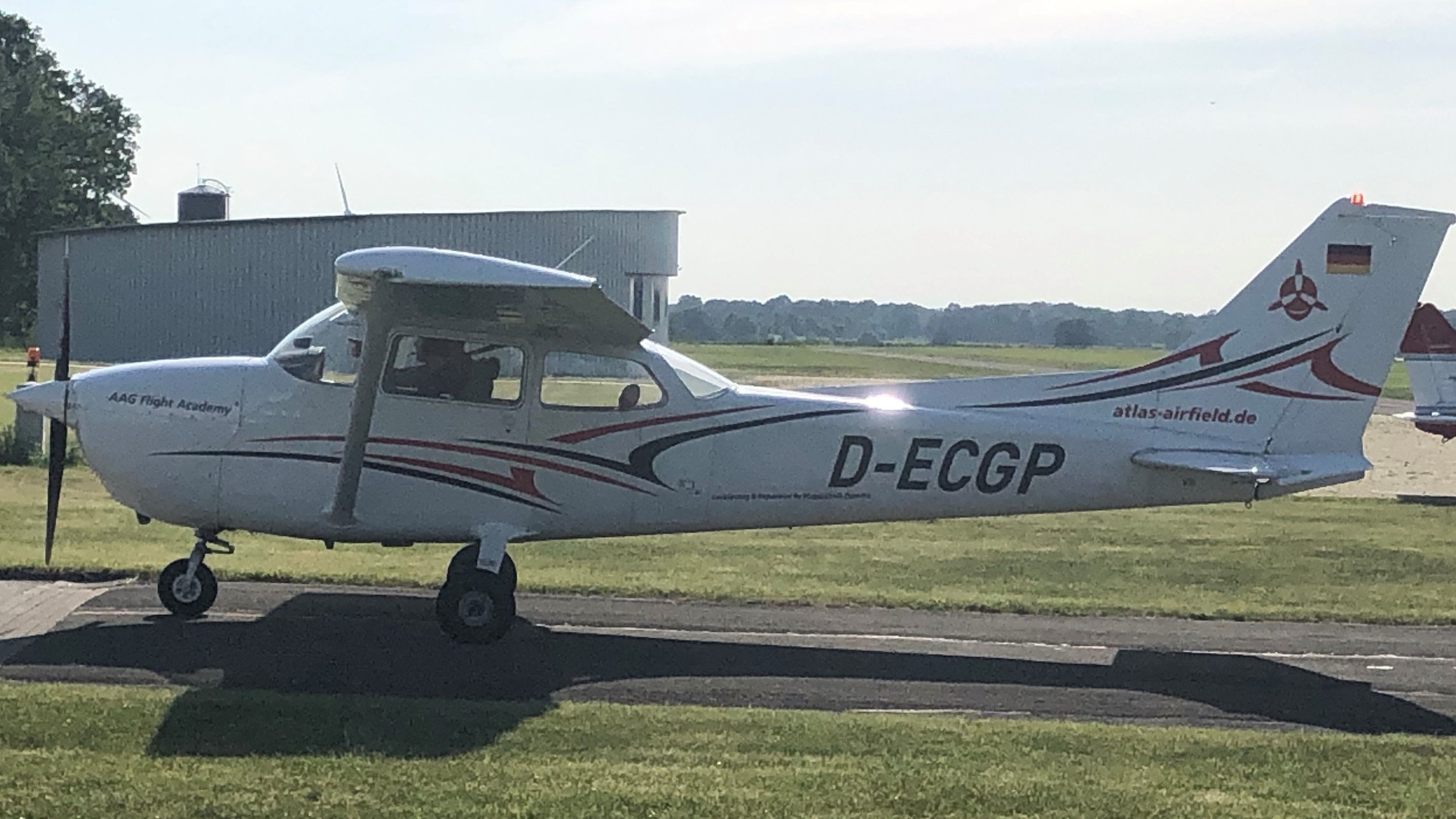 D-ECGP —