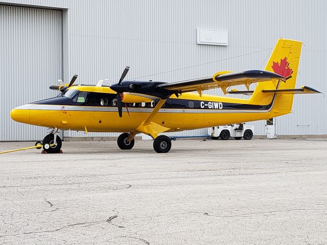 De Havilland Canada Twin Otter (C-GIWD) - A nice Yellow DHC-6, 300 series MSN 721