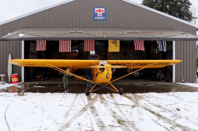 Piper NE Cub (N38335)