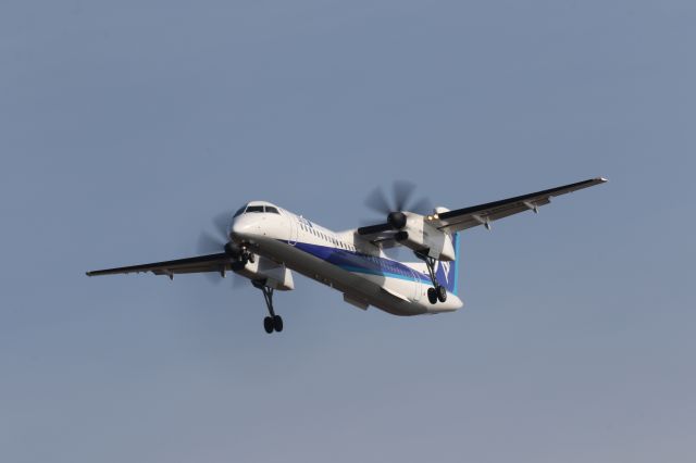 de Havilland Dash 8-400 (JA853A) - 23 November 2015:CTS-HKD.