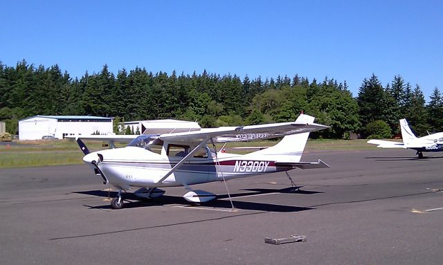 Cessna Skylane (N3300Y)