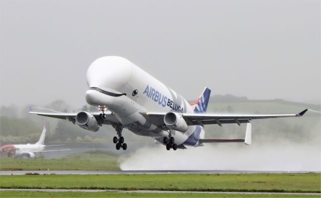 F-WBXL — - airbus beluga xl f-wbxl testing at shannon 20/5/21.