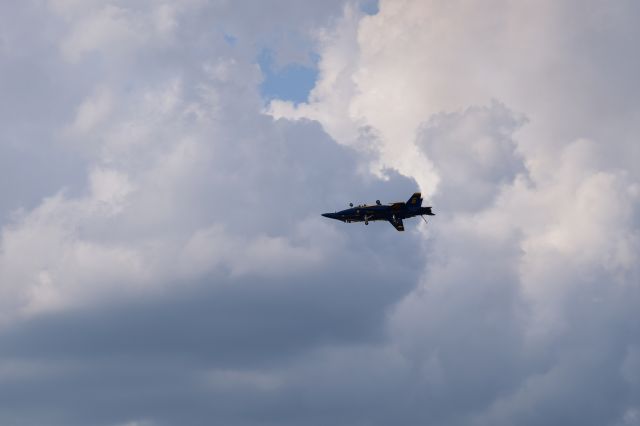 McDonnell Douglas FA-18 Hornet — - The Blues Fortus Manuver as seen at Sun'nFun 2019 ^APR19